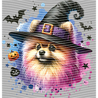 Halloween-WS 4171